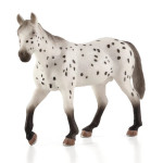 MOJO - Cavalo Appaloosa